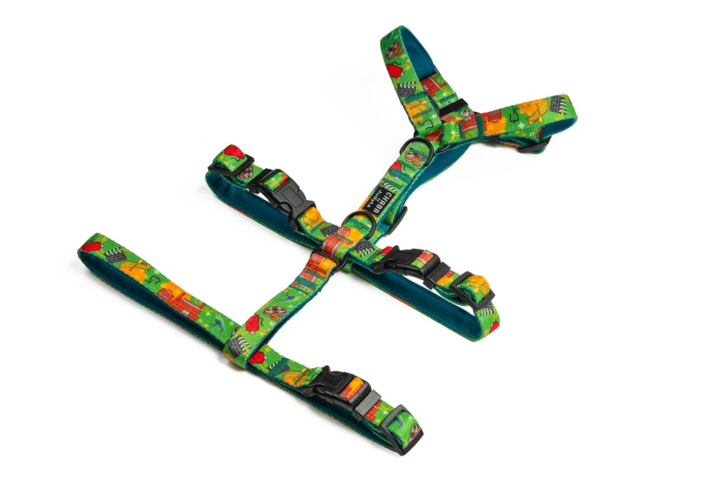 DSC_9022-Edit (Copy).jpg